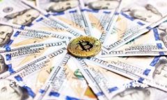 2025必看：如何立即将虚拟币安全存放在钱包里