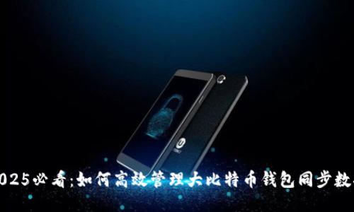 2025必看：如何高效管理大比特币钱包同步数据