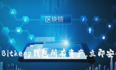 2025必看：全面了解Bitkepp钱包所有资产，立即安全