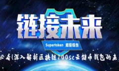 2025必看！深入解析区块链100sc云储币钱包的未来