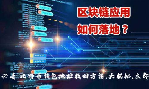 2025必看：比特币钱包地址找回方法，大揭秘，立即学习！