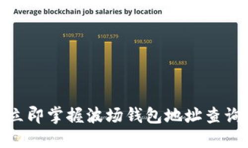 2025必看：立即掌握波场钱包地址查询的终极指南