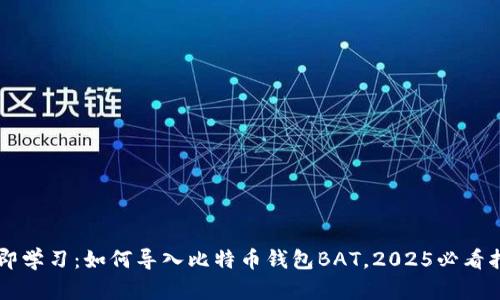 立即学习：如何导入比特币钱包BAT，2025必看指南