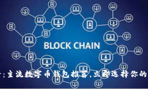 2025必看：主流数字币钱包推荐，立即选择你的安全之路！