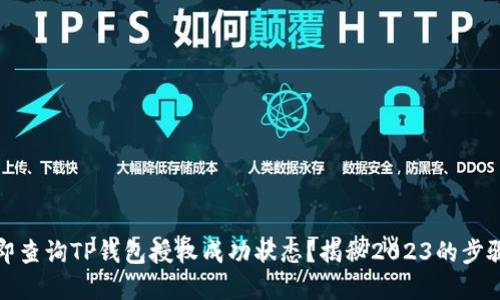 如何立即查询TP钱包授权成功状态？揭秘2023的步骤和技巧
