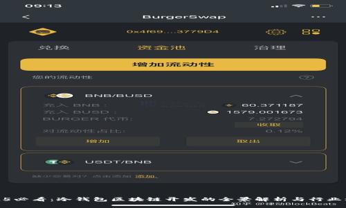 2025必看：冷钱包区块链开发的全景解析与行业机会