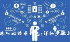 如何快速进入比特币钱包：详细步骤与安全提示