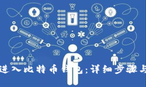 如何快速进入比特币钱包：详细步骤与安全提示