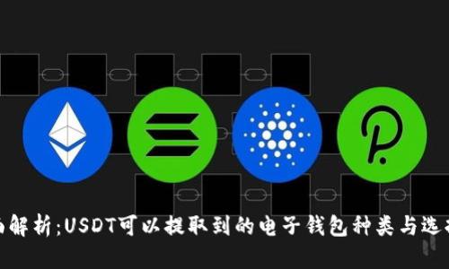 : 全面解析：USDT可以提取到的电子钱包种类与选择指南