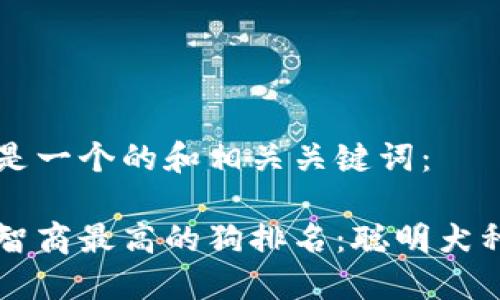 以下是一个的和相关关键词：

十大智商最高的狗排名：聪明犬种推荐