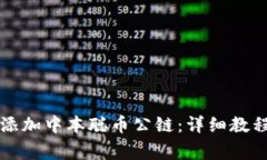 如何在TP钱包中添加中本聪币公链：详细教程与常