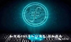 如何将BNB导入TP钱包：详细指南