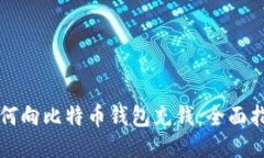 如何向比特币钱包充钱：全面指南