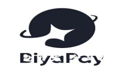 Java 区块链钱包开发：全面指南与实用技巧