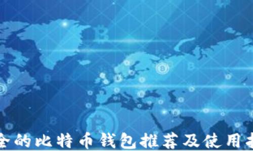 
安全的比特币钱包推荐及使用指南