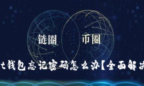 TokenPocket钱包忘记密码怎么办？全面解决方案与指南