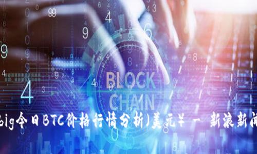 big今日BTC价格行情分析（美元） - 新浪新闻